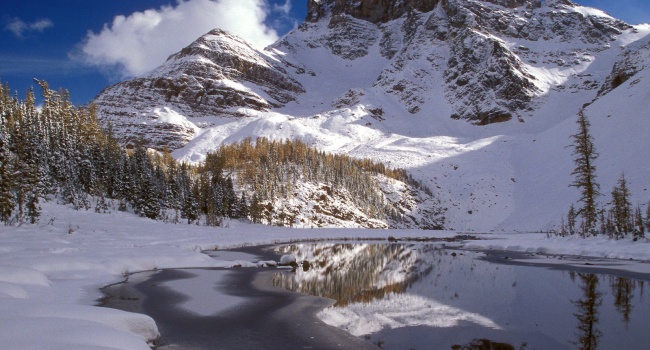 Гидрометцентр: 18 января в Украине небольшой мороз и переменная облачность