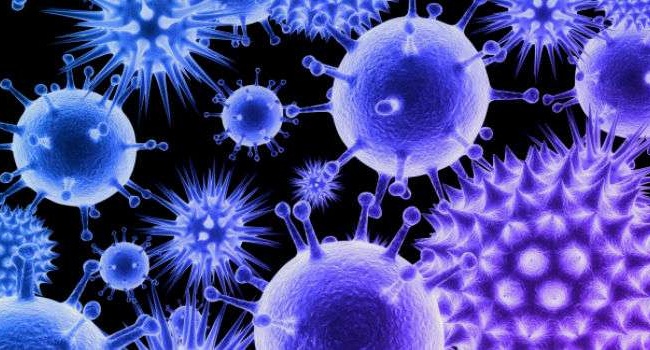 Эпидемия трех вирусов способна привести к уничтожению человечества – ученые 