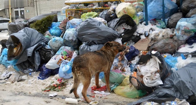 Власти Львова пообещали вывезти мусор за неделю