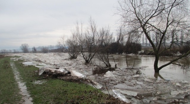 Из-за сильных осадков в Закарпатской области затоплены сельхозугодия
