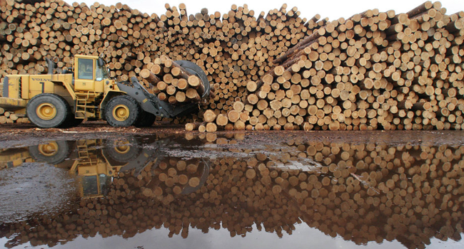 Кабмін дав дозвіл на експорт лісу в ЄС в обмін на 600 млн. євро 