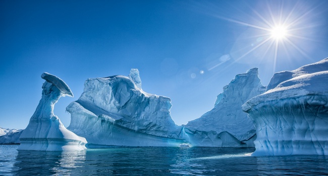 Антарктида теперь зеленая, - снимки, сделанные спутником
