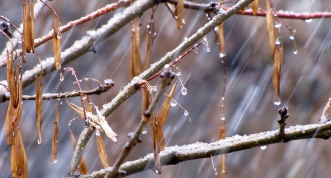 Синоптики: 17 марта дожди и мокрый снег