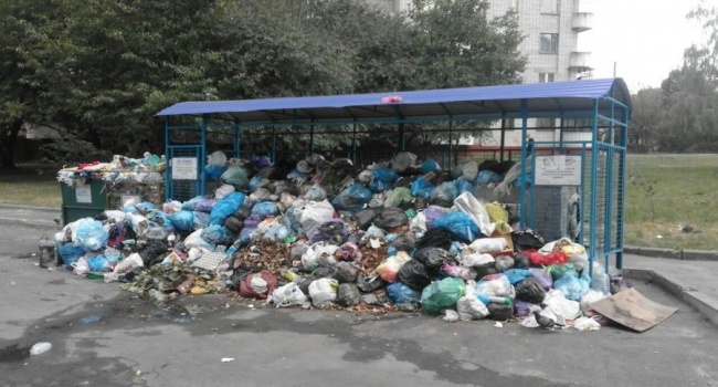 У Львові через сміття можуть припинити працювати школи та дитсадки