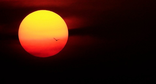 Лише факти: 25 % росіян переконані, що Сонце крутиться навколо Землі 