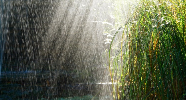 В Гидрометцентре рассказали о погодных изменениях после 1 мая 