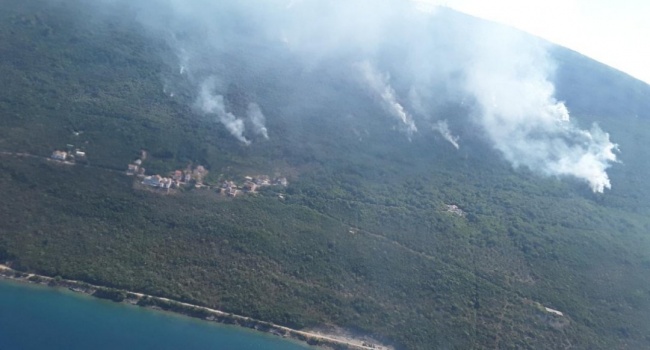 Громадянина Польщі підозрюють у підпаленні лісу у Чорногорії 