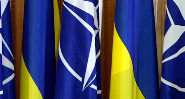 Эксперты рассказали, что мешает Украине стать членом НАТО