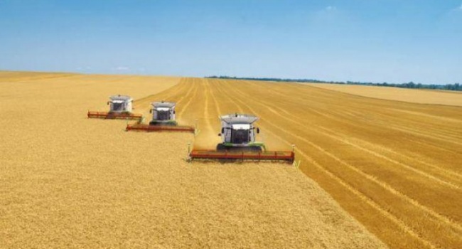 Украинские производители агропродукции расширяют рынок для экспорта