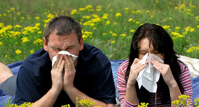 Доктор: уже через 15 лет каждый третий украинец будет страдать от аллергии