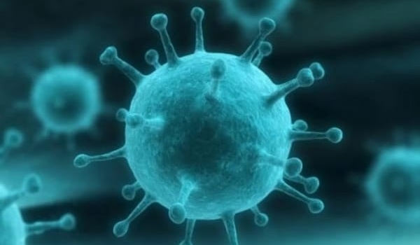В Украине ожидают опасный штам гриппа «Мичиган»
