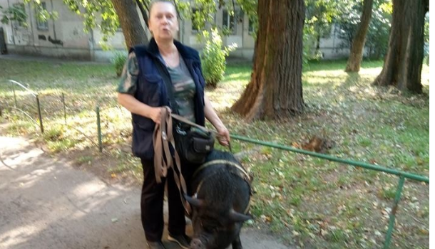 Очевидцы заметили необычное животное у одной из жительниц Киева