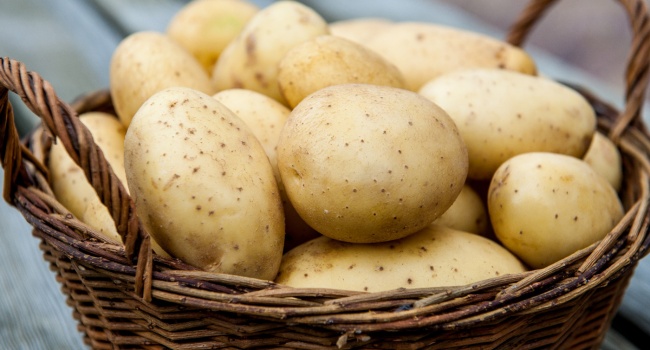 Эксперты рассказали, когда нужно ждать рекордных цен на картофель
