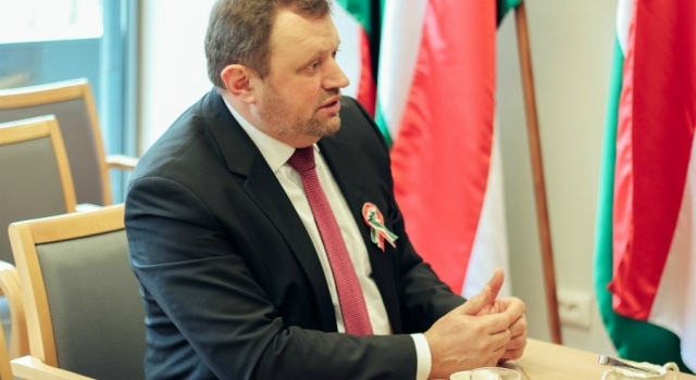 Угорський дипломат розкритикував причину критики освітнього закону в Україні 