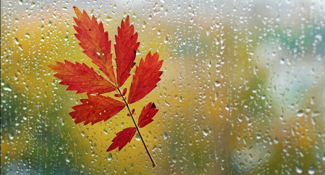 Синоптики: 5 октября – холодный и дождливый день