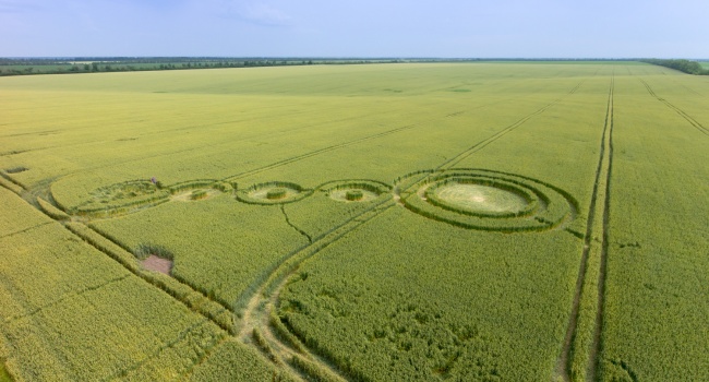 На полях Украины появились таинственные знаки