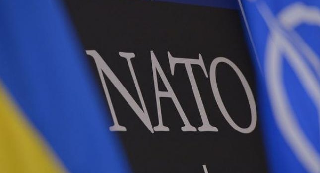 Пономарь: «Украина быстро сближается с НАТО»