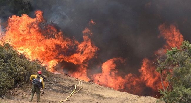 Пожары в Калифорнии: число погибших резко возросло