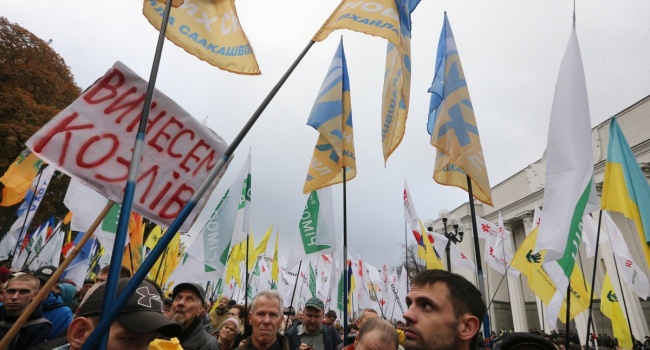 Блогер: «революционеры» вывели на улицу людей не против «преступной власти», а за Тимошенко и экс-регионалов