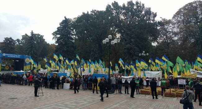 Тимошенко обязательно сегодня своим шансом воспользуется, – блогер