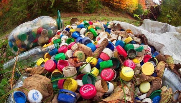 «Мусор повсюду»: пользователи в шоке от гор мусора, скопившегося в Карпатах