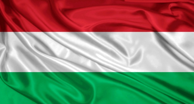 Решение Венецианской комиссии: Венгрия в очередной раз бросила камень в Украину