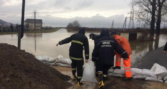 ЧП на Закарпатье: вода подтопила 800 домов, эвакуированы более сотни людей