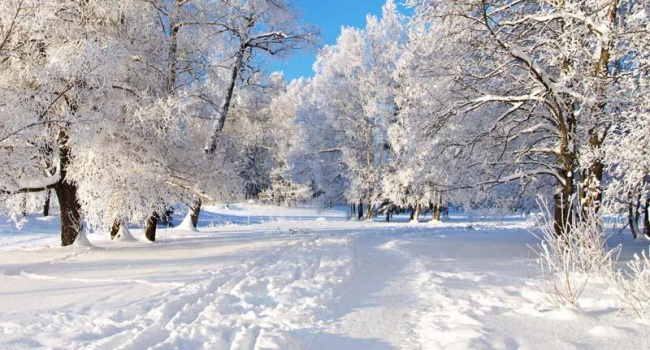 Очень много снега: синоптики рассказали о погоде 18 января