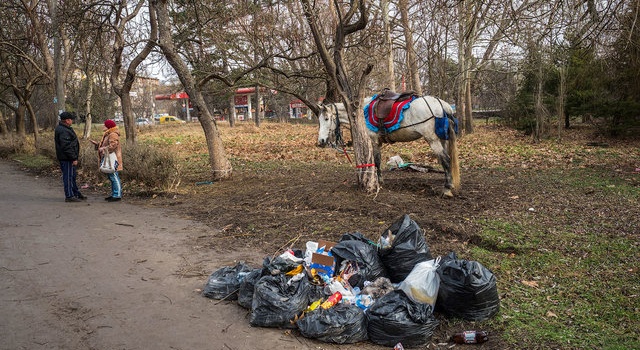 «Это не центр, а убожество», - в сети появились фото крымской столицы
