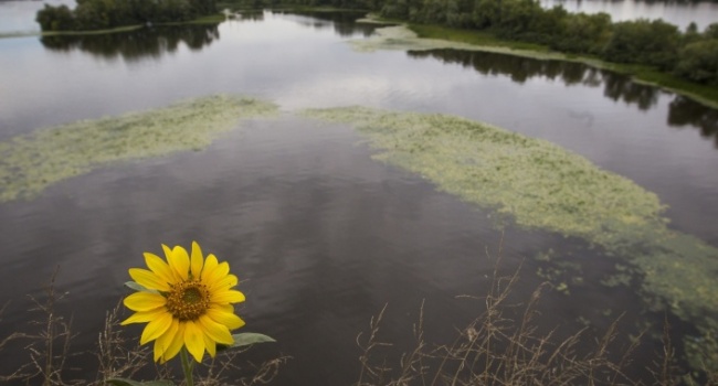 Экологи: «В Украине может возникнуть дефицит питьевой воды»