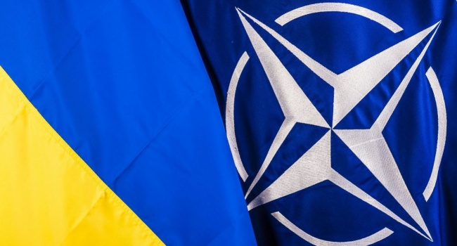 Дипломат назвал причину отказа Украине в членстве в НАТО 