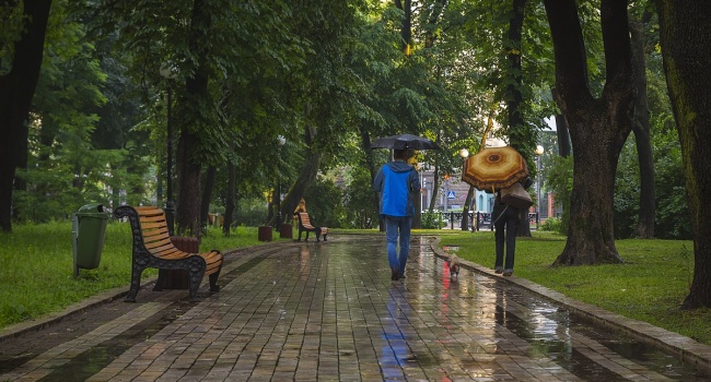 В парках Киева появится уникальная техника