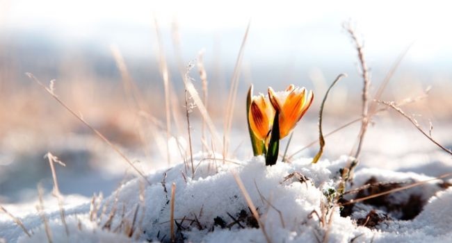 Сніг та зниження температури: синоптик розповіла, якої погоди чекати завтра, 22 березня 