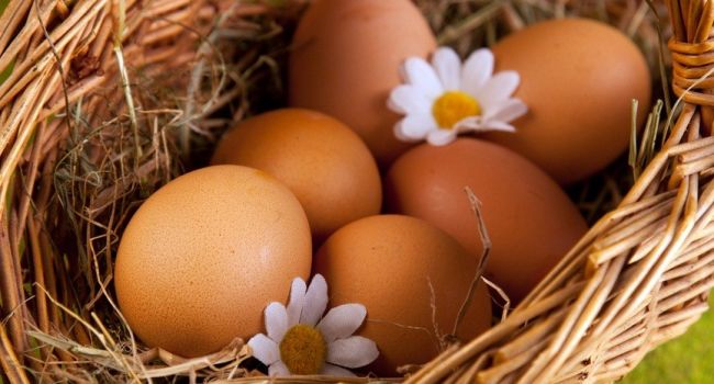 Учёные определили норму потребления яиц