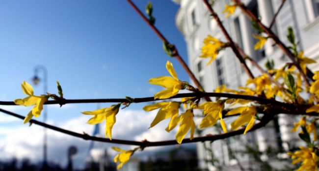 В выходные погода порадует украинцев теплом и солнцем