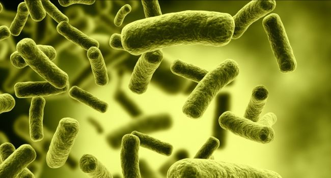 Полезная микрофлора может превращаться в болезнетворных бактерий - ученые