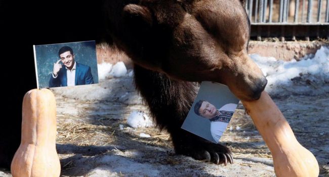 Русский медведь предсказал победу Порошенко на выборах
