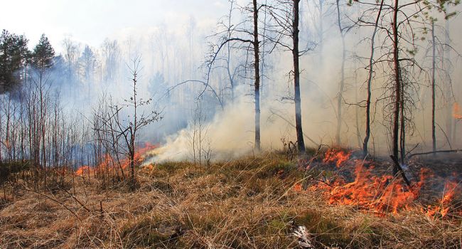 Украинские пожарные смогли справиться с огнём недалеко от Ровно 