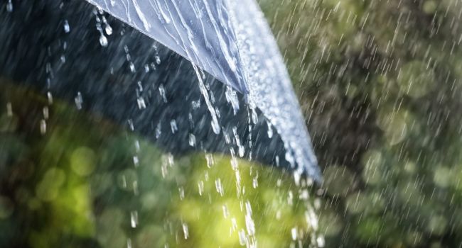 Все праздники с дождями: синоптик рассказал о погоде в мае 