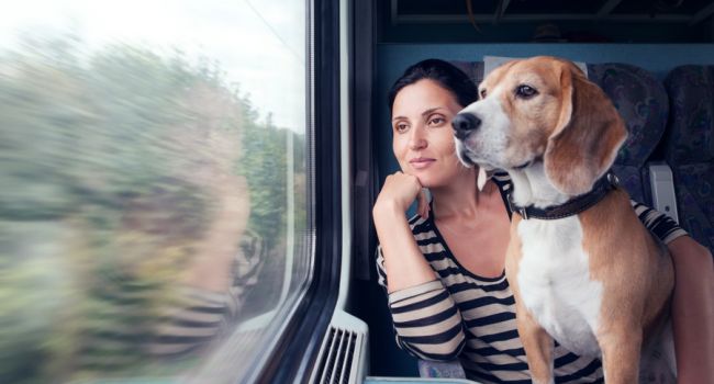 «Укрзализныця» обнародовала новые правила перевозки собак в поездах 