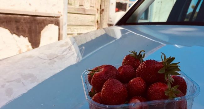Стартует сезон клубники: блогер дал совет как выбрать настоящую полезную ягоду и не заработать аллергию