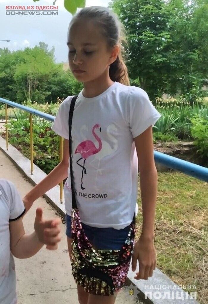 «Вела прямой эфир в Instagram до того, как ее кто-то окликнул»: в полиции рассказали новые подробности об исчезновении 11-летней девочки под Одессой 
