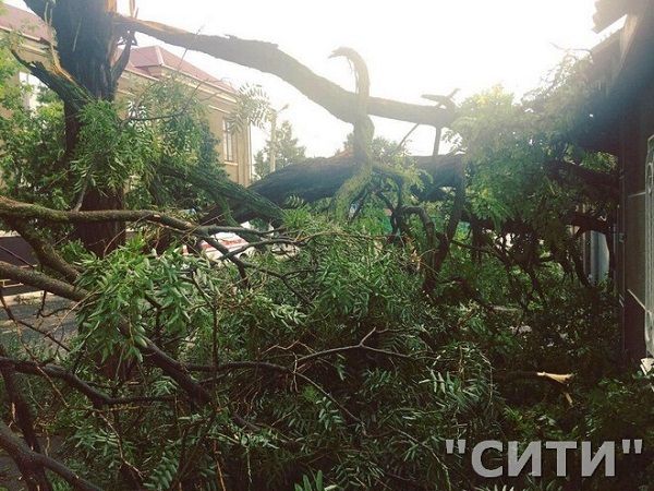 В Одесской области пронесся страшный ураган: сеть пестрит устрашающими снимками стихии 