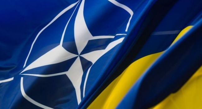 Украине нужно идти в НАТО, но ее туда никто не приглашает - мнение
