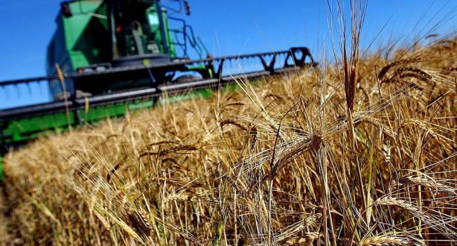Украинские аграрии на четверть увеличили экспорт зерновых
