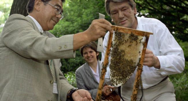 В Хоружевке обучают пчеловодству