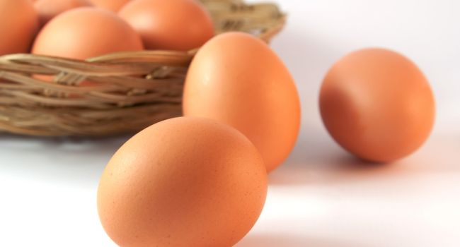 Спрос на куриные яйца в мире растет