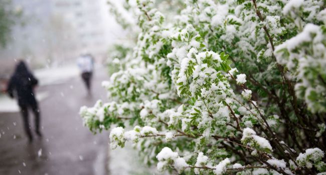 На Россию обрушились июльские снегопады
