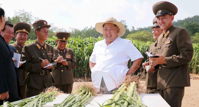 В стране голод, но мы гордые: КНДР отказалась от южнокорейского риса