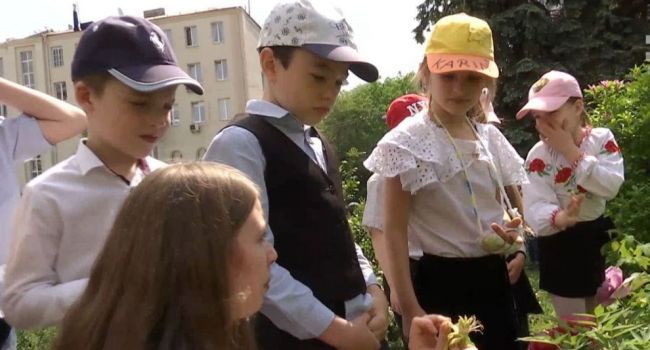 На территории одной из харьковских школ создали уникальный сад
